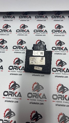 BAJAJ NS200 UG Beyin ecu 2024